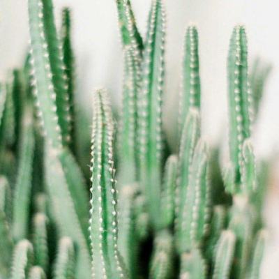 博物馆保洁阿姨手拿扫帚为游客讲解